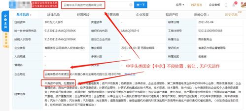 计算机软件技术服务 驱动数字化转型的核心动力