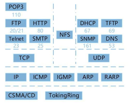 计算机网络与计算机软件技术服务 数字时代的双引擎